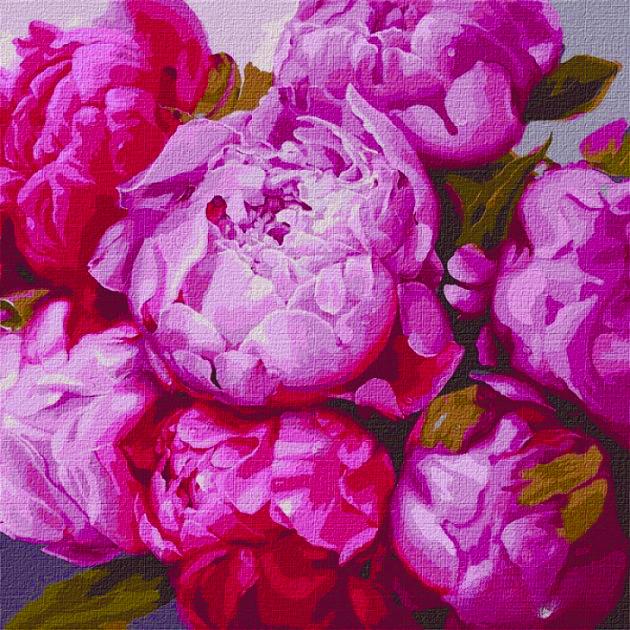 Картина по номерам Идейка Цветы Хрупкие пионы 50х50 см в термопакете (КНО2986-mt)