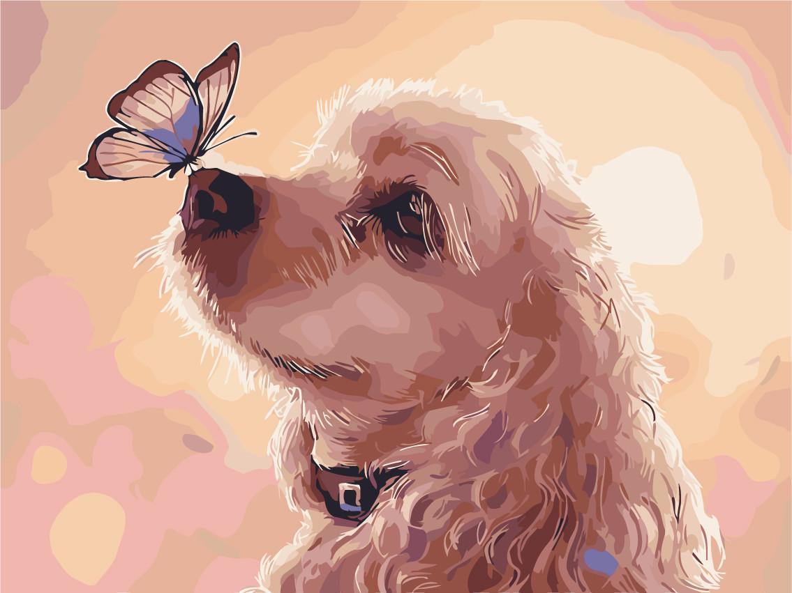 Картина по номерам Brushme H722 Бабочка на носу любимца 40х50 см (1563787394) Картина по номерам Brushme H722 Бабочка на носу любимца 40х50 см (1563787394)