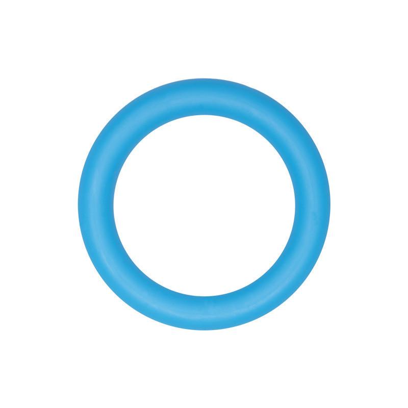Бусина Кольцо силиконовая для грызунков 65х10 мм 1 шт. Голубой (ГЗ6510к21) Бусина Кольцо силиконовая для грызунков 65х10 мм 1 шт. Голубой (ГЗ6510к21)
