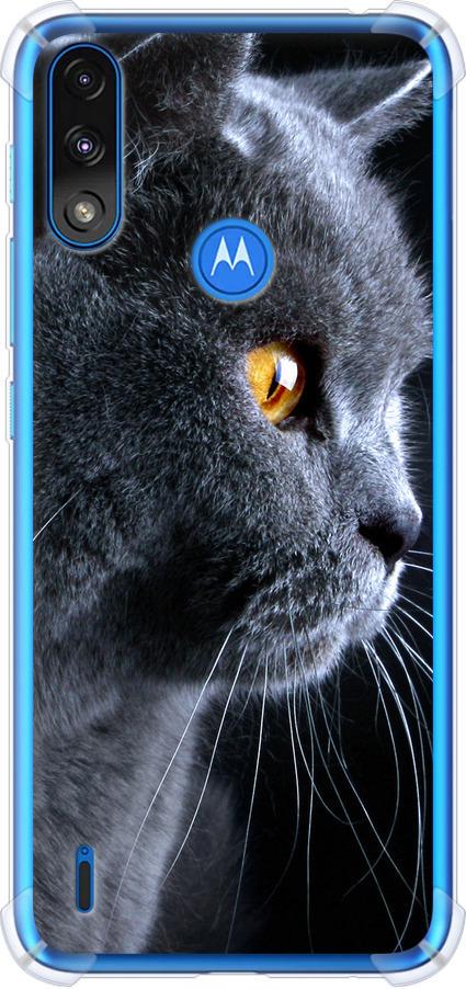 Чехол на Motorola E7 Power Красивый кот (3038sp-2284-42517)