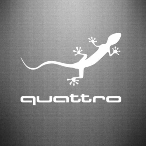 Наклейка Quattro 20x14,4 см Белый (21560782)