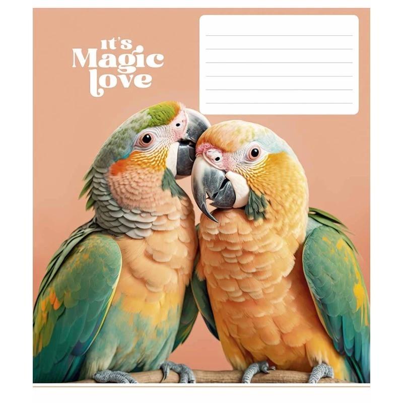 Зошит учнівський "It's a magic love" 012-3300L-1 в лінію 12 аркушів
