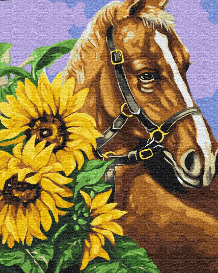 Картина по номерам Brushme Конь в подсолнухах 40x50 см (BS52898)