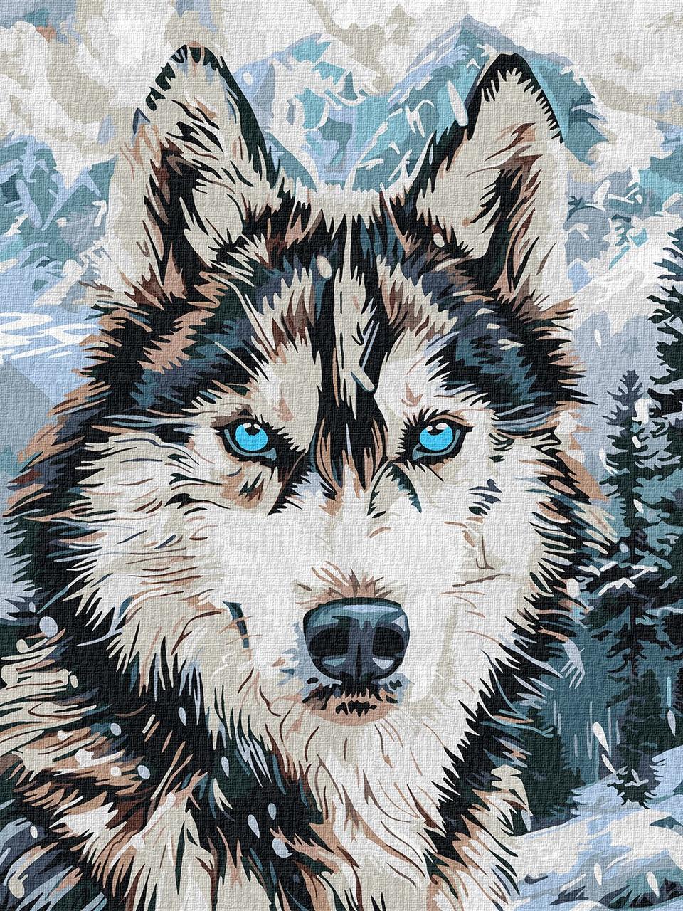 Картина по номерам Ideyka Глаза полуночи 30х40 см (2847123839)