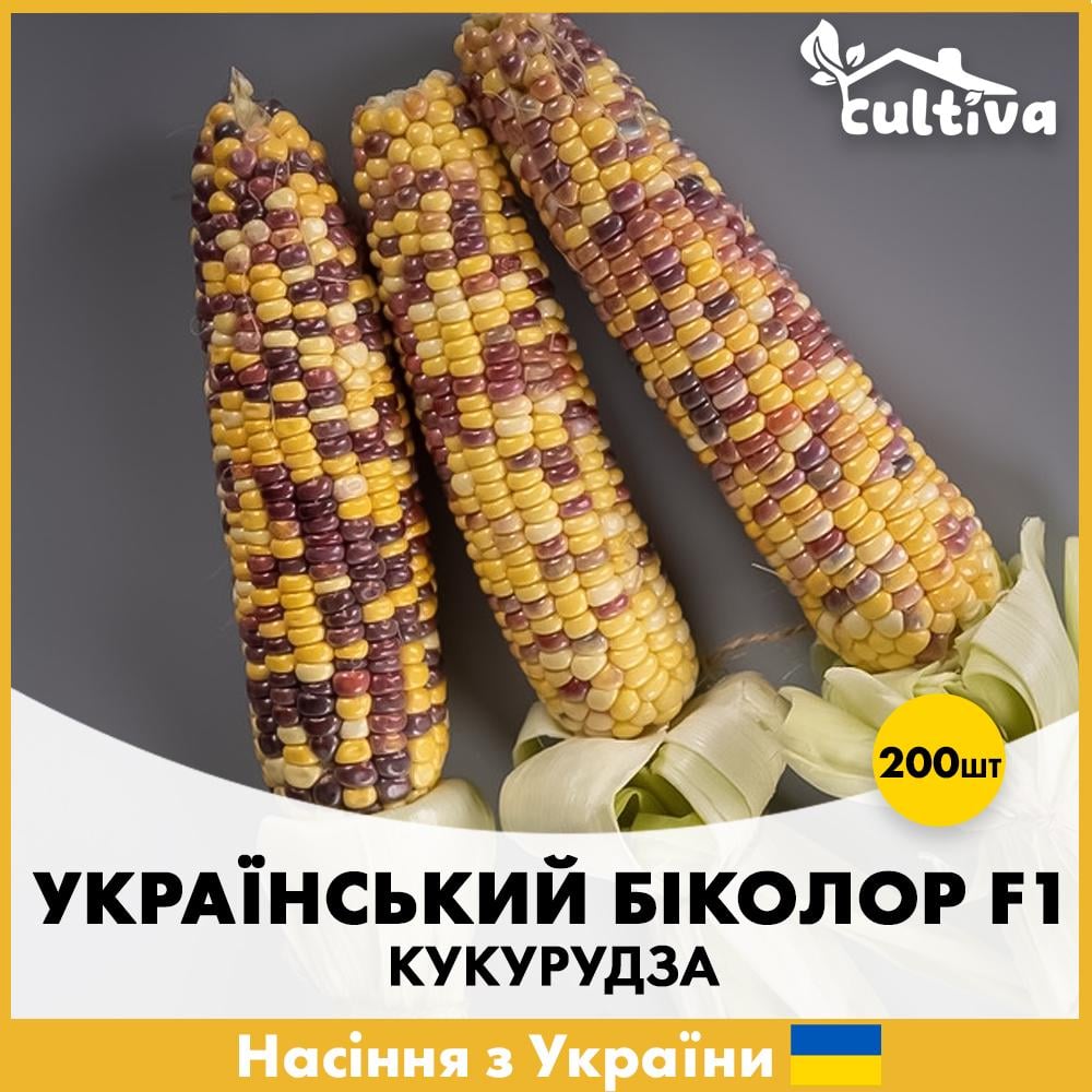 Семена кукурузы Мнагор Украинский биколор F1 200 шт. (R51126)