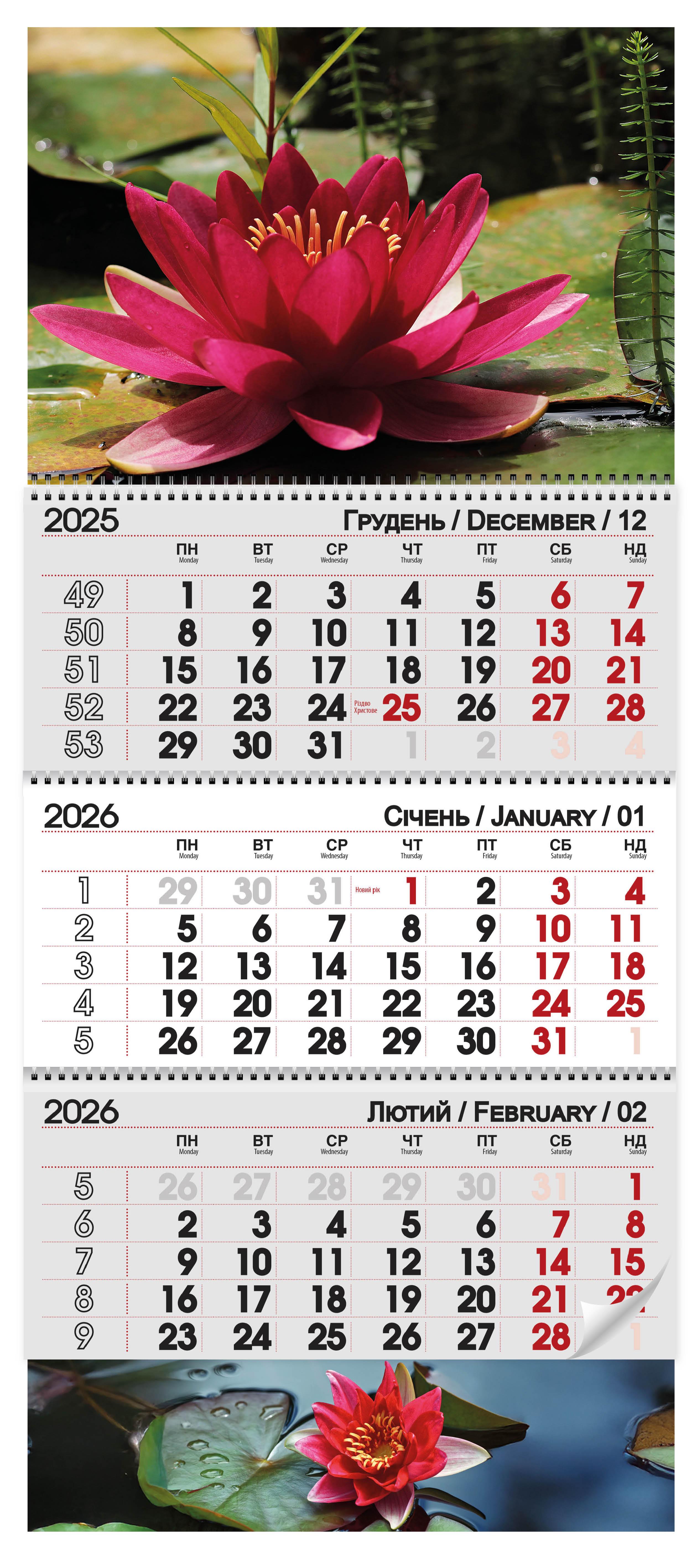 Календар квартальний 2026 Лотос (30084672)
