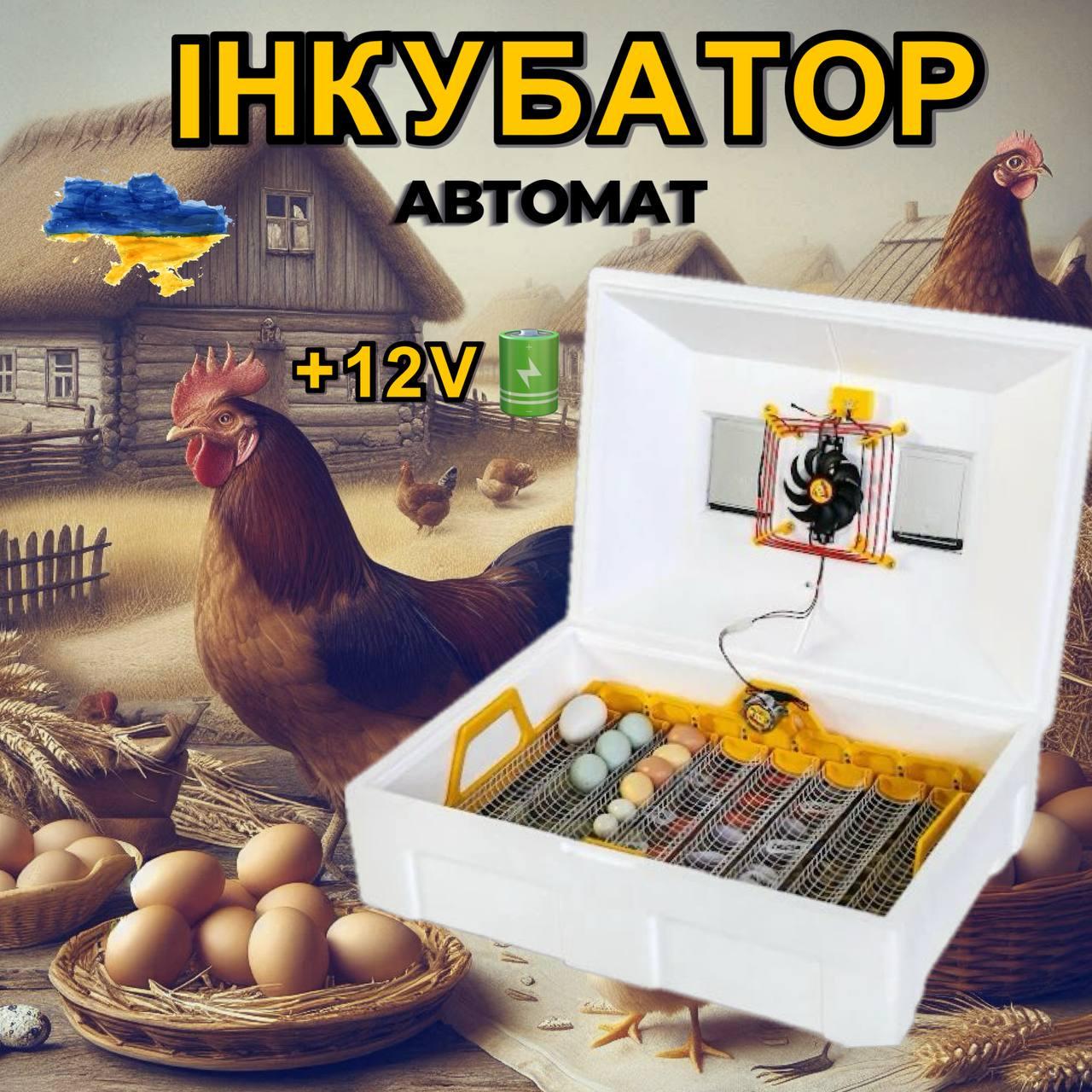 Інкубатор автоматичний Теплуша Люкс 72 ІБ 12/50 ТАВ інверторний (1289) - фото 9