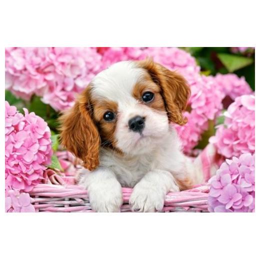 Пазл Щенок в цветах 500 элементов (B-52233-CS)
