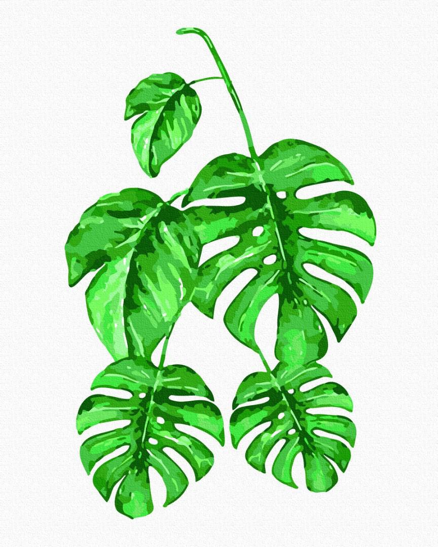 Картина по номерам Brushme Монстера 40x50 см (G498)