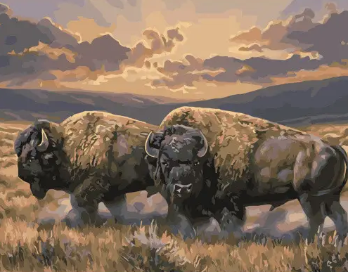 Картина по номерам Strateg Пара бизонов 40x50 см (VA-3348)