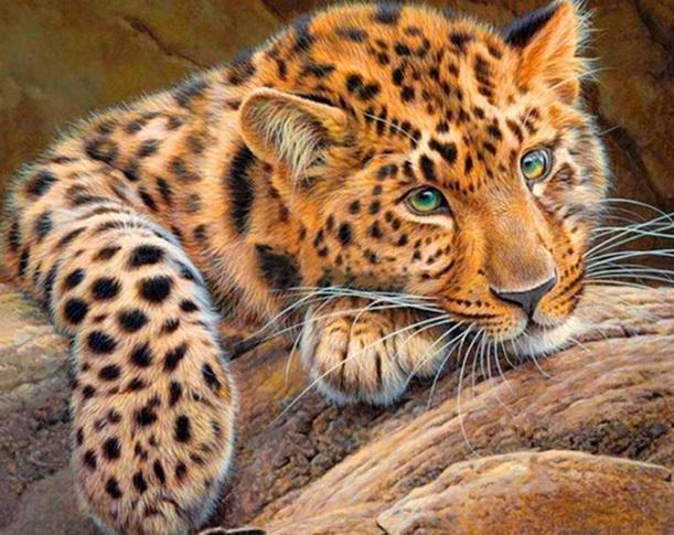 Алмазная мозаика My Art Стая волков на подрамнике квадратные алмазы 40х50 см (ТН559)