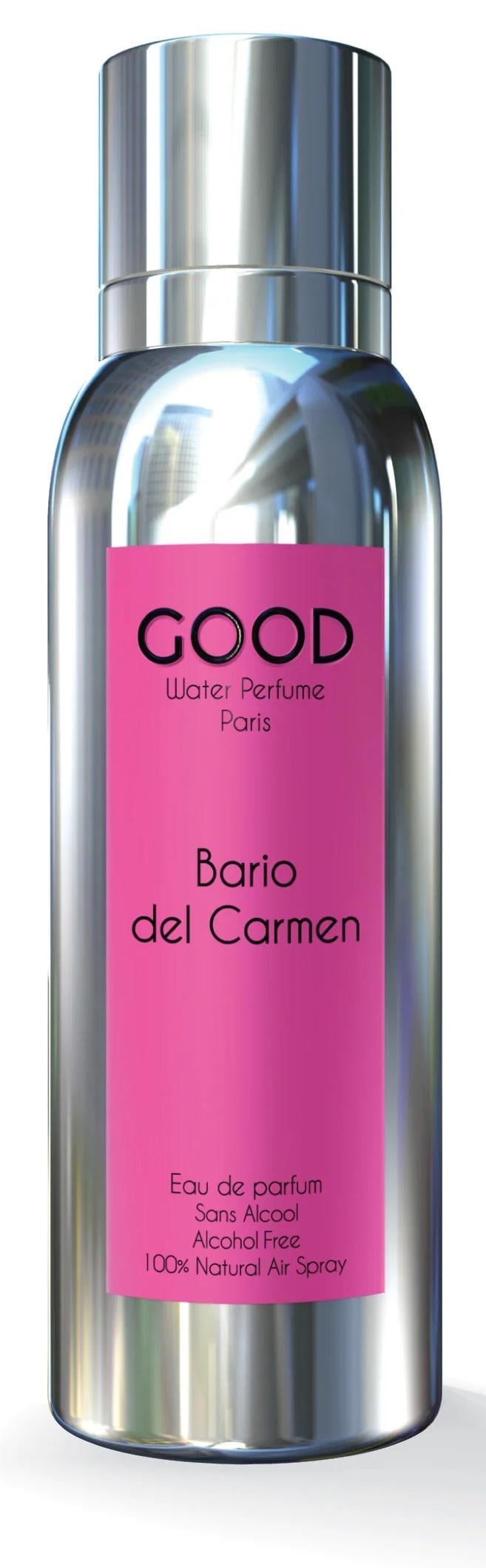 Парфюмированная вода унисекс Good Water Perfume Barrio Del Carmen 100 мл в транспортной упаковке (380638)