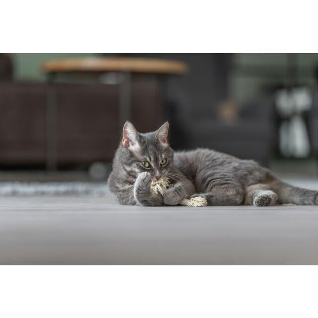 Іграшка для котів Trixie Канат з бахромою 15 см 2 шт. - фото 2