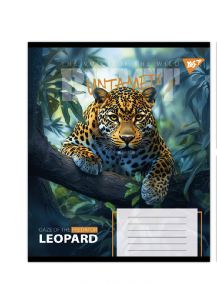 Тетрадь ученическая школьная YES The wild А5/24 кл. (767735)