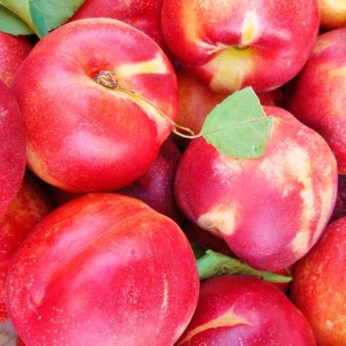 Сажанець Нектарин Алі Топ лисий персик/середній термін дозрівання (61953)