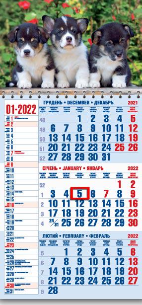 Календарь настенный квартальный МАРКО на 2022 год офисный 1 Щенята (офіс1-18 2022)
