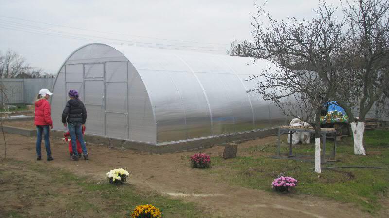 Теплиця Алмір 5x10 із квадратної труби 30х30 з полікарбонатом Soton 6 мм - фото 4