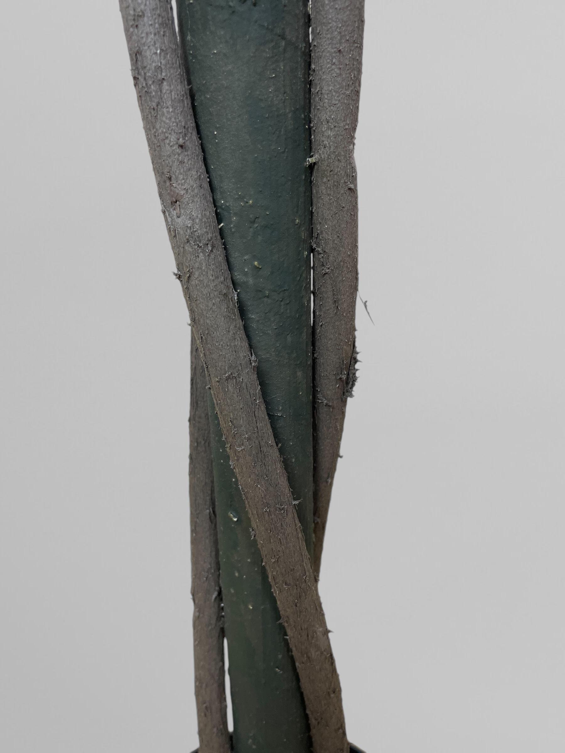 Штучна самшитова куля на стовбурі в горщику 90 см Зелений (Д13002) - фото 5 Штучна самшитова куля на стовбурі в горщику 90 см Зелений (Д13002) - фото 5