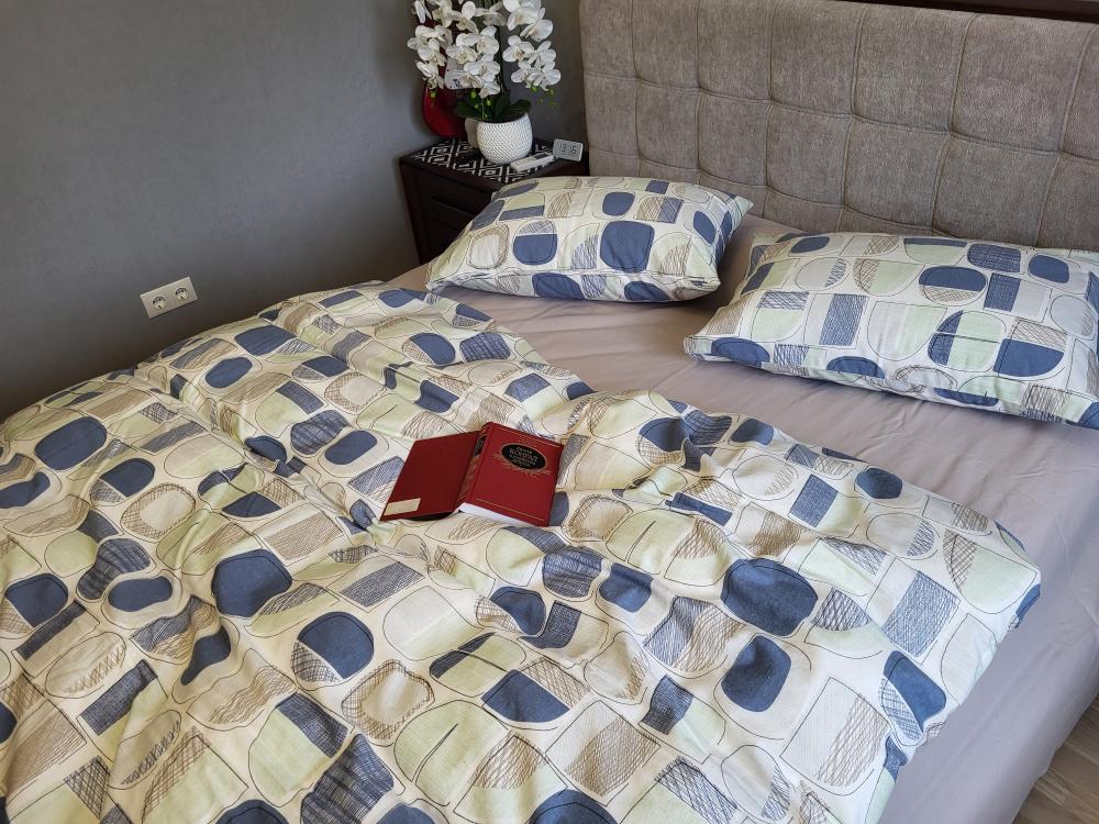 Комплект постельного белья Фреска синий Turkish flannel полуторный (1966004354)