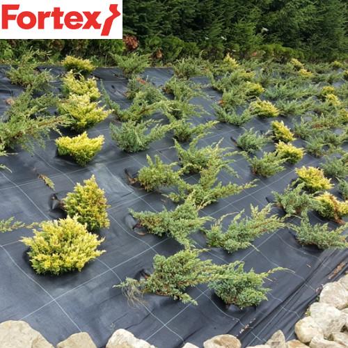 Агротекстиль Fortex 100 г/м2 1,05х25 м (12) - фото 9