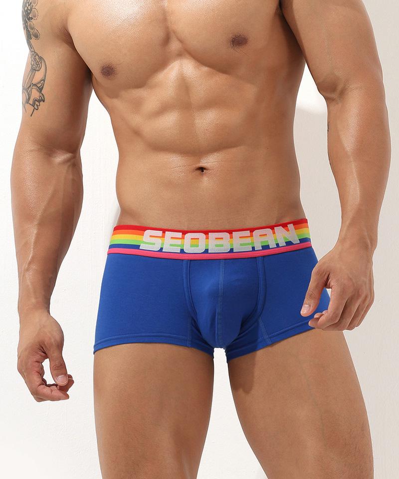 Трусы Seobean L Синий (6281)