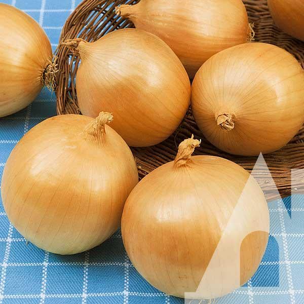 Лук репчатый Техас грано, 5 г, Садиба Лук репчатый Техас грано, 5 г, Садиба