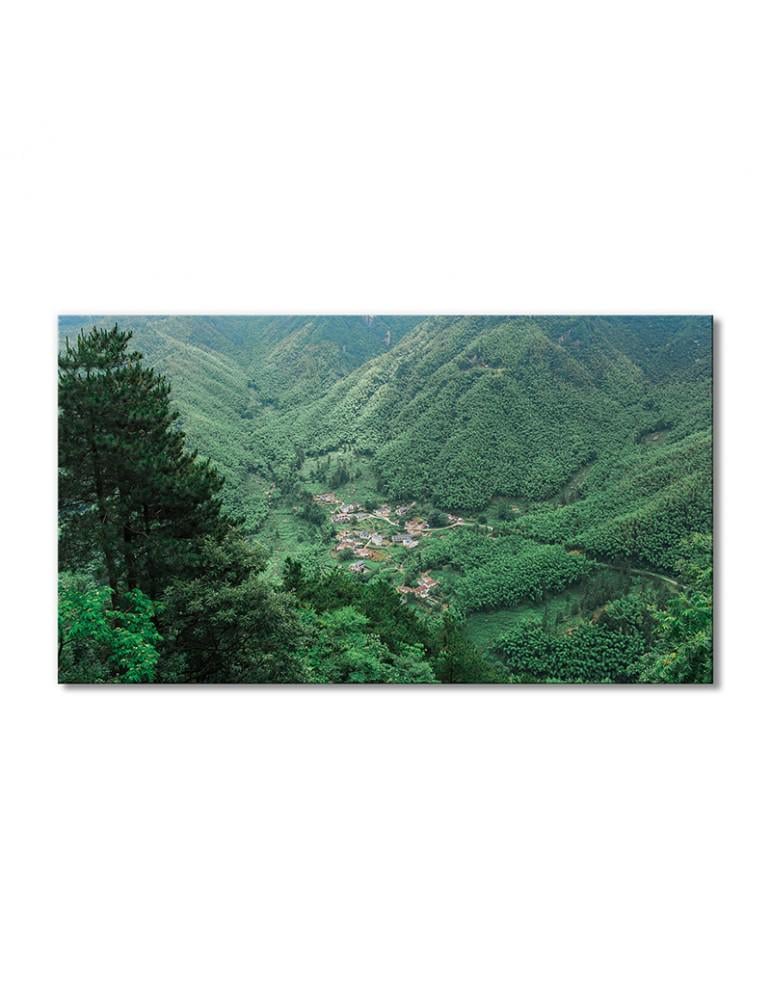 Картина модульная Пейзаж с зелеными холмами 1 модуль 70x105 см