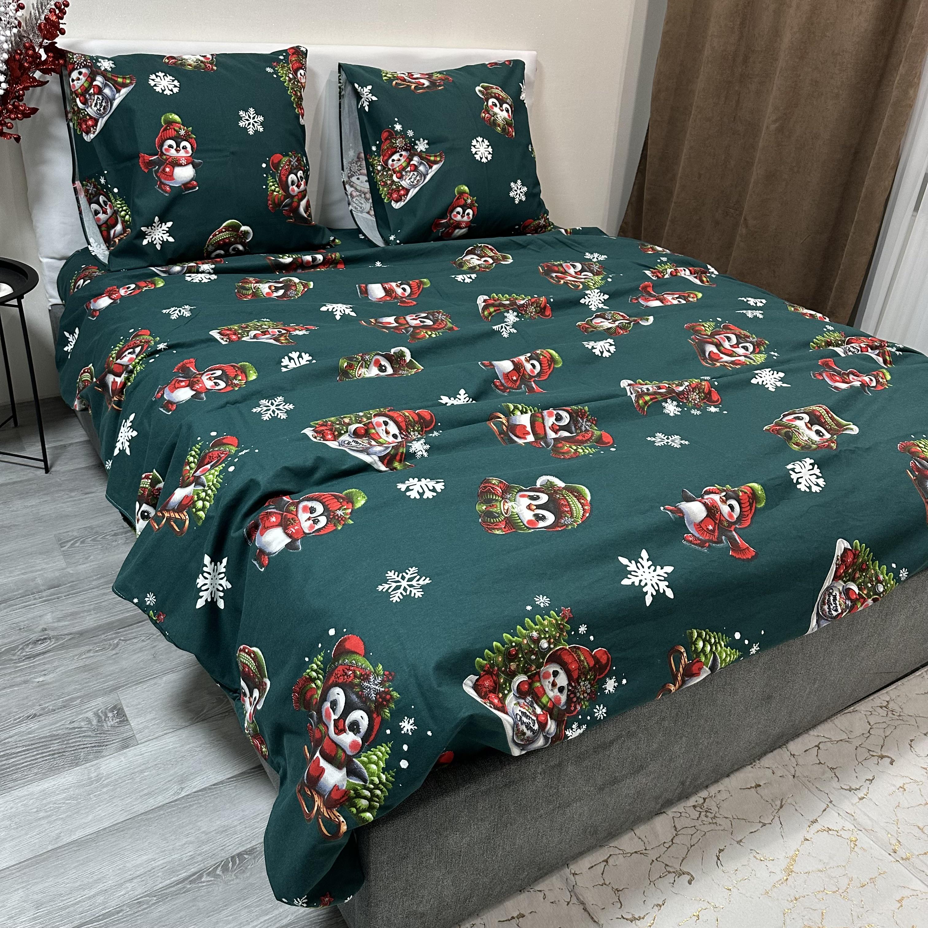 Комплект постільної білизни байкова Зимовий євро Зелений (байка 8-3)