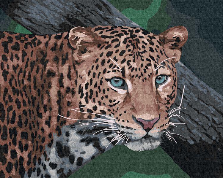 Картина по номерам Идейка Дикий взгляд 40x50 см (KHO4300)