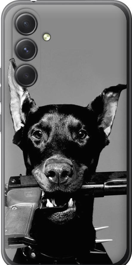 Чехол на Samsung Galaxy A54 A546E Доберман (2745u-2935-42517)