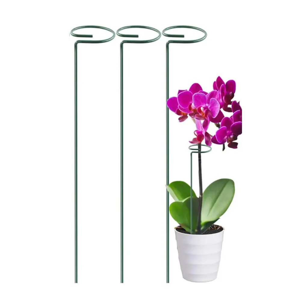 Набор опор для комнатных и садовых растений с кольцами 3 шт. 39х4 см (kolyshki_2) - фото 2 Набор опор для комнатных и садовых растений с кольцами 3 шт. 39х4 см (kolyshki_2) - фото 2