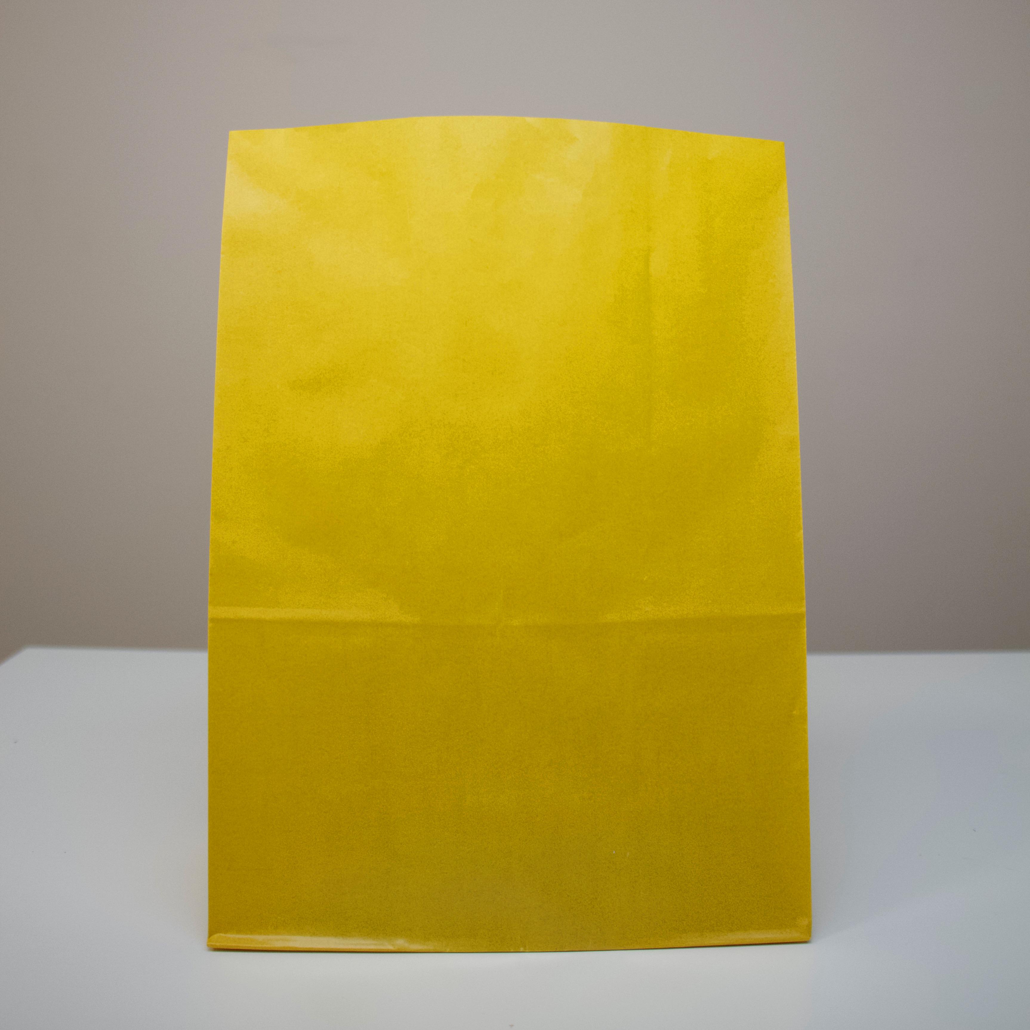 Пакет подарочный бумажный однотонный без ручек 210x115x280 мм 100 шт.