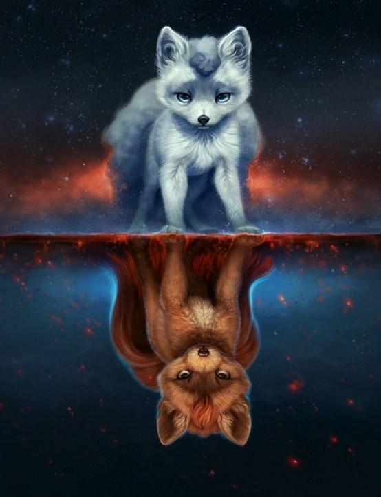 Алмазна вишивка мозаїка Diy Відображення 30х40 см DZDP1408