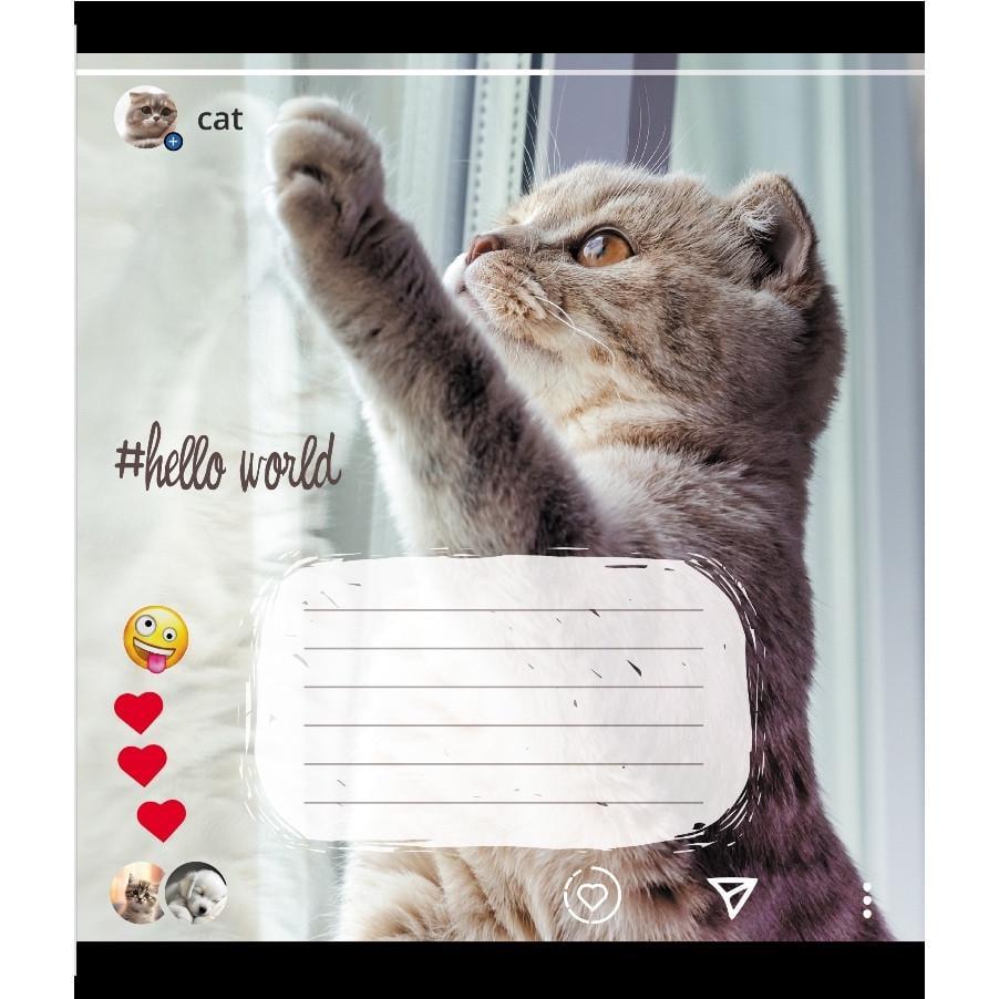 Шкільний зошит Кішка 024-550351K-3 в клітинку 24 аркуші (RLT55284)