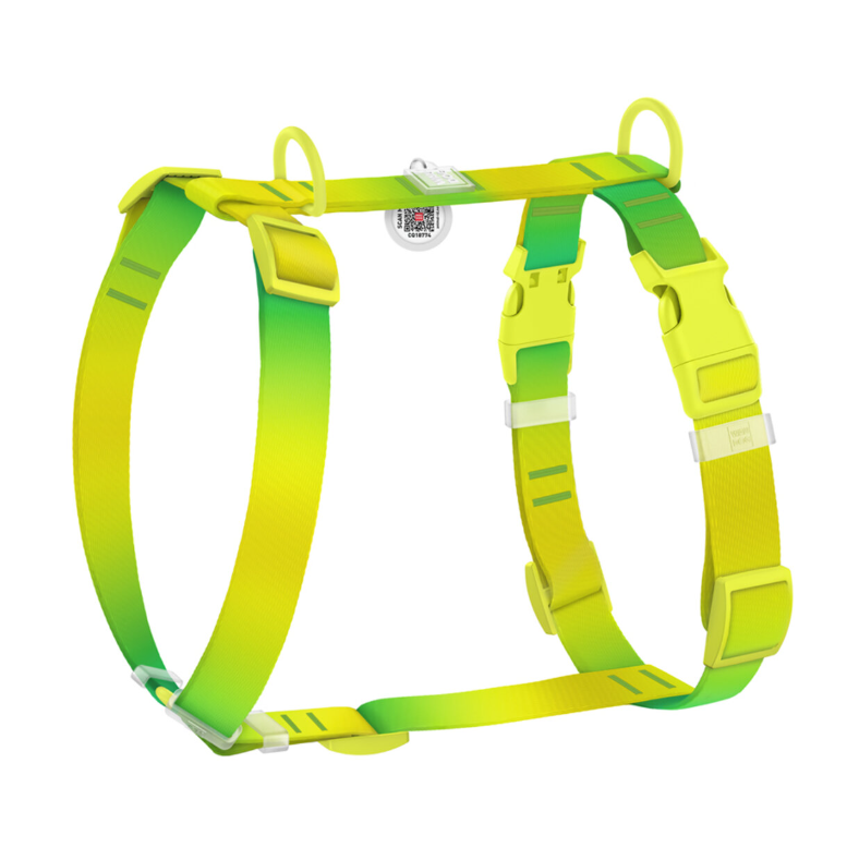 Шлейка для собак с QR-паспортом WAUDOG Nylon Recycled Градиент пластиковый фастекс L 25 мм А 51-85 см В 60-85 см Green (47535)