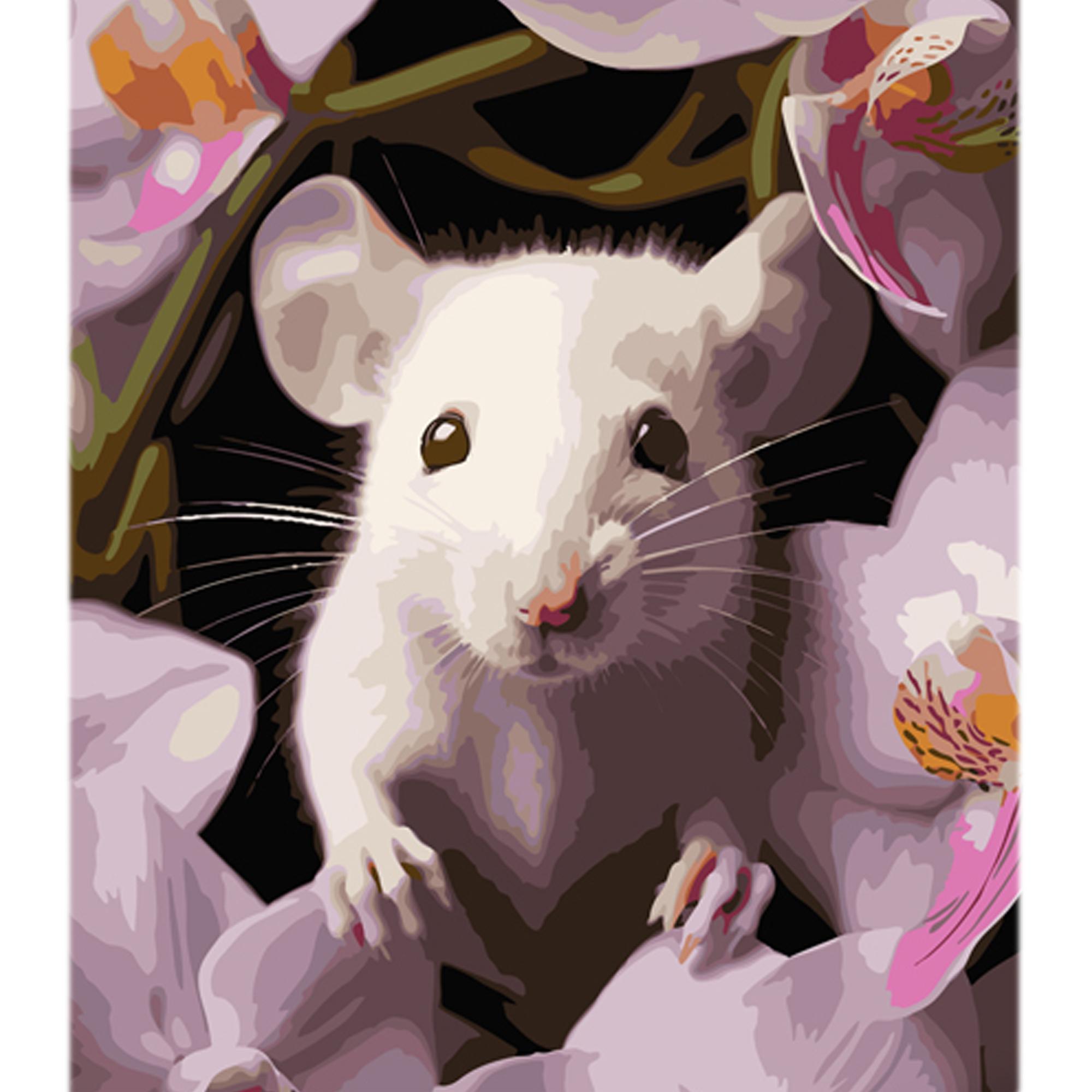 Картина по номерам Strateg Мышонок с орхидеей на цветном фоне 40x50 см (MZ029)