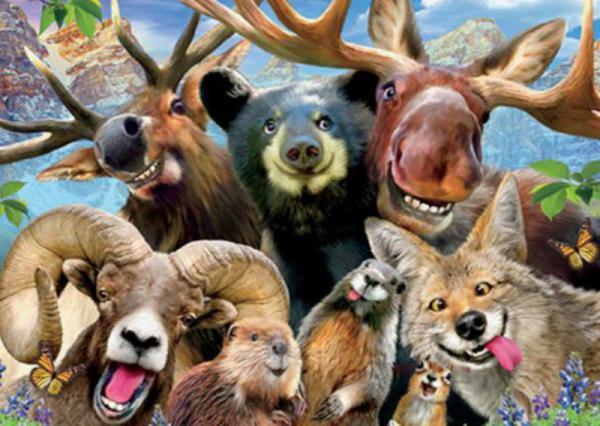 Картина по номерам Josef Otten Животные Лесная братва 40х50 см в термопакете (5484Y_O-mt) Картина по номерам Josef Otten Животные Лесная братва 40х50 см в термопакете (5484Y_O-mt)