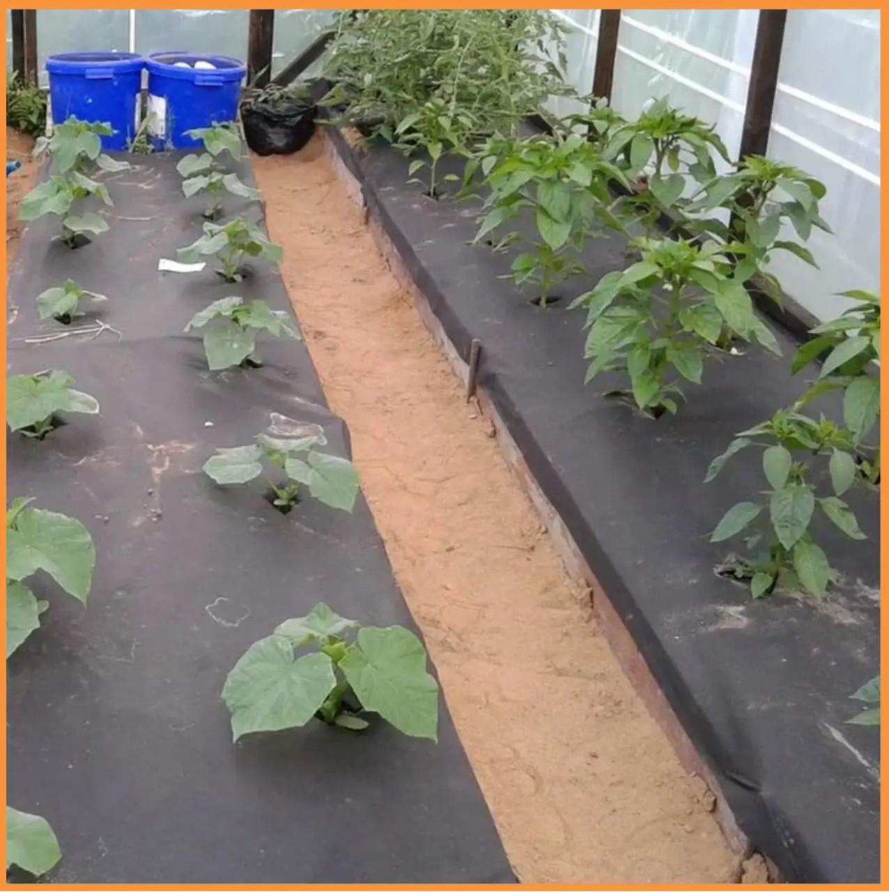 Агроволокно Shadow 60 г/м2 1,6х10 м Черный (1847715716) - фото 3 Агроволокно Shadow 60 г/м2 1,6х10 м Черный (1847715716) - фото 3