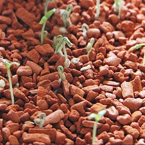 Субстрат для орхідей Florium Seramis 7 л (15771) - фото 2 Субстрат для орхідей Florium Seramis 7 л (15771) - фото 2