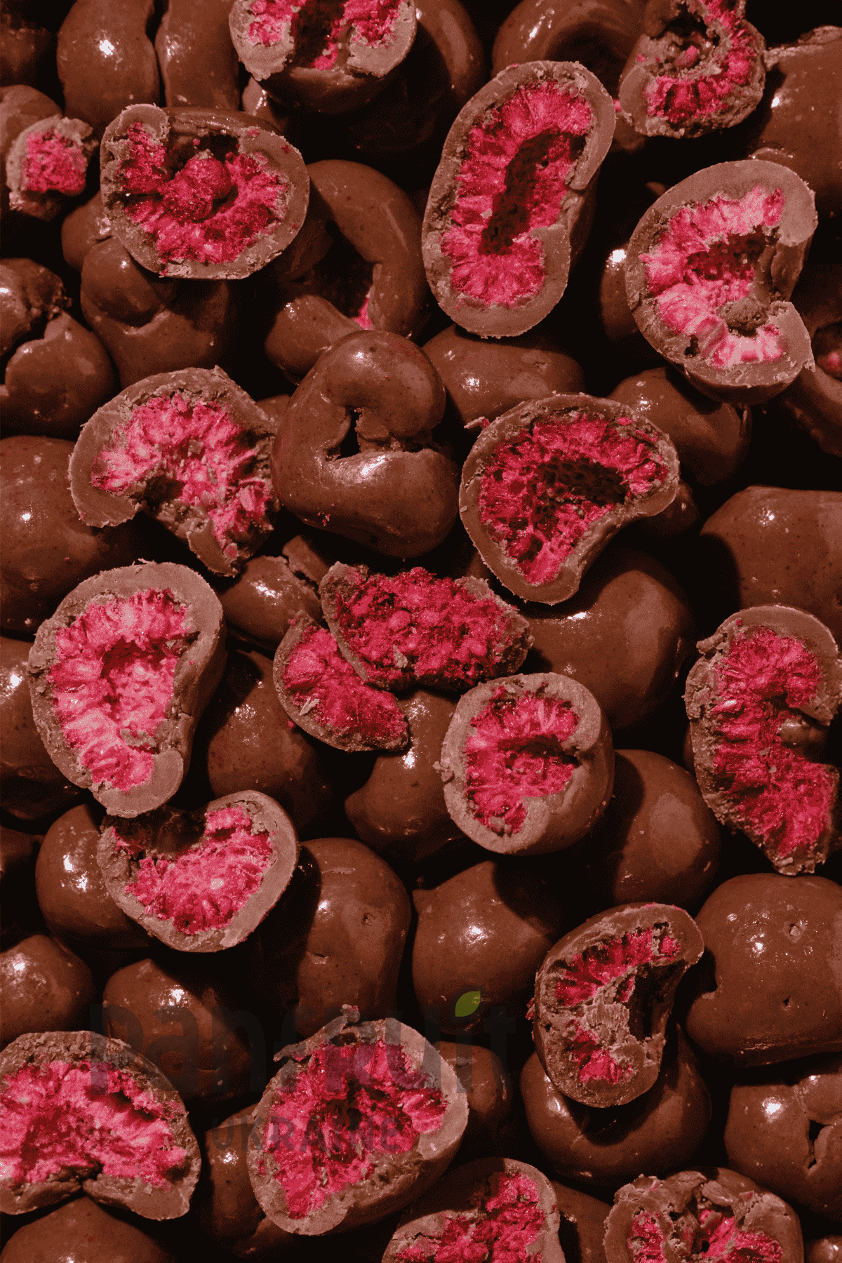 Малина сублимированная в шоколаде Panfruit органическая 50 г