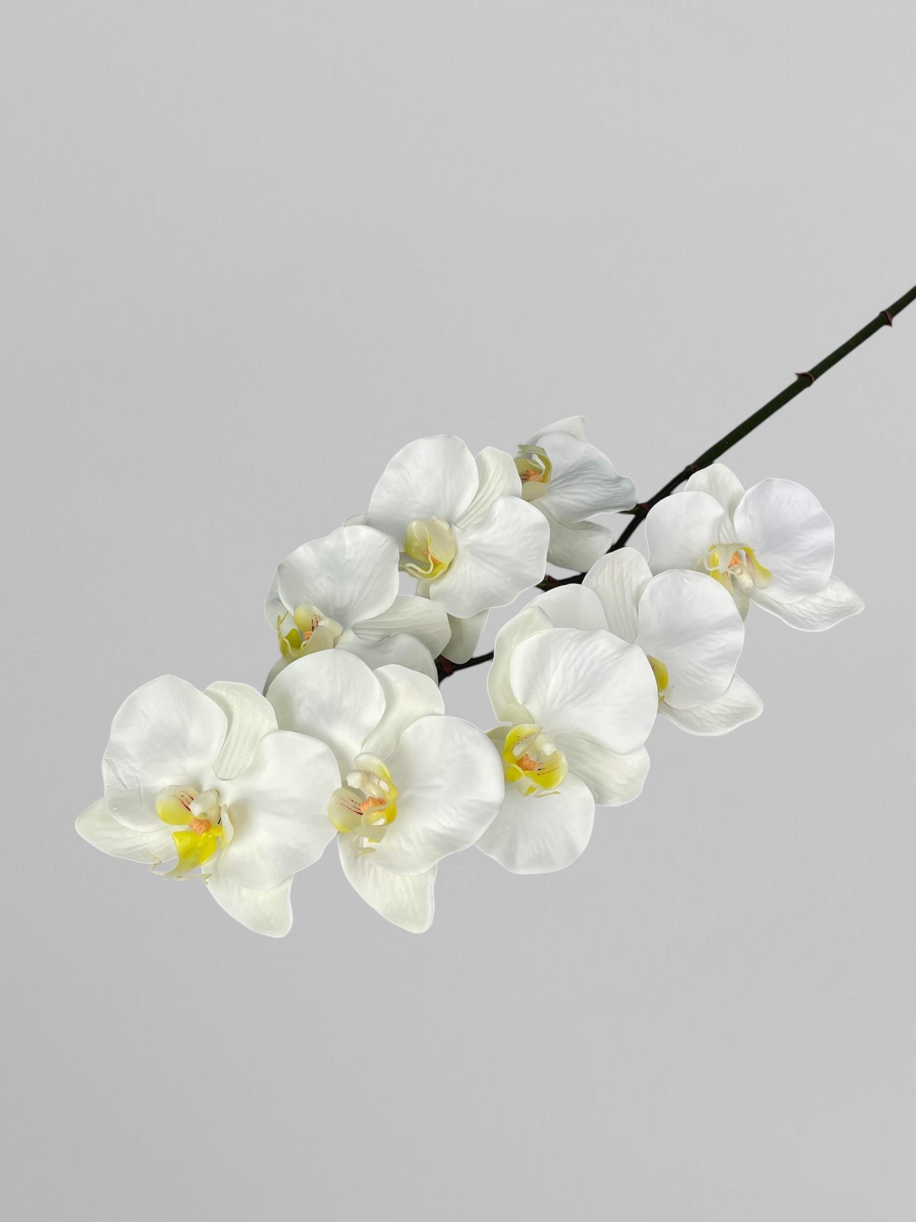 Искусственная орхидея Real touch 8 соцветий 80 см Белый (К01034)