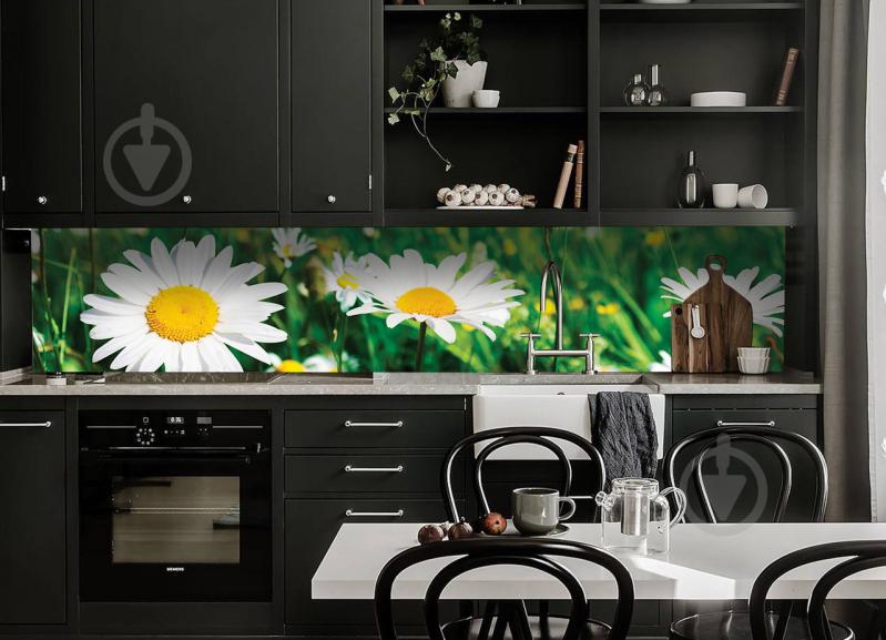 Наклейки кухонный фартук Zatarga "Солнечные ромашки" 650х2500мм Зеленый (Z180273/1)