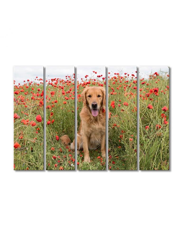 Картина модульная Собака в маках 5 модулей 70x105 см (094418ZHivotnye0004)