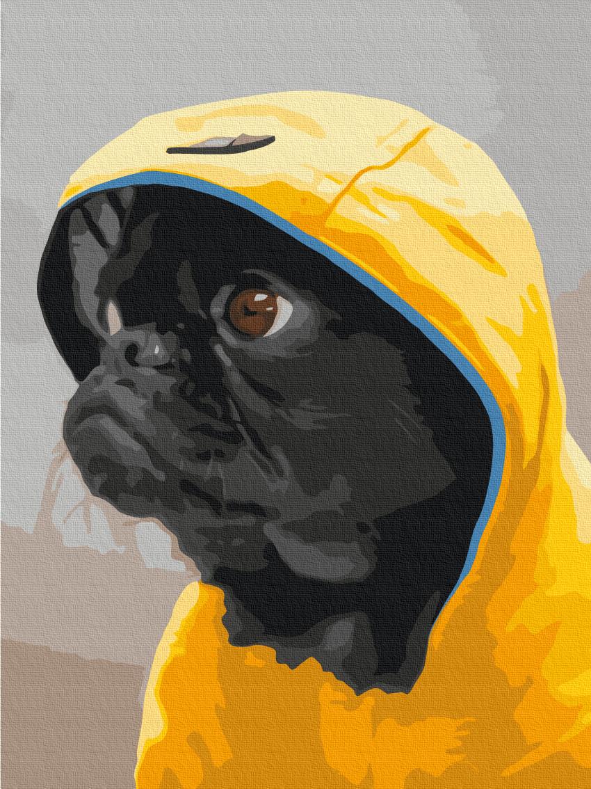 Картина за номерами Brushme Мопс у капюшоні 30x40 см (RBS52614)