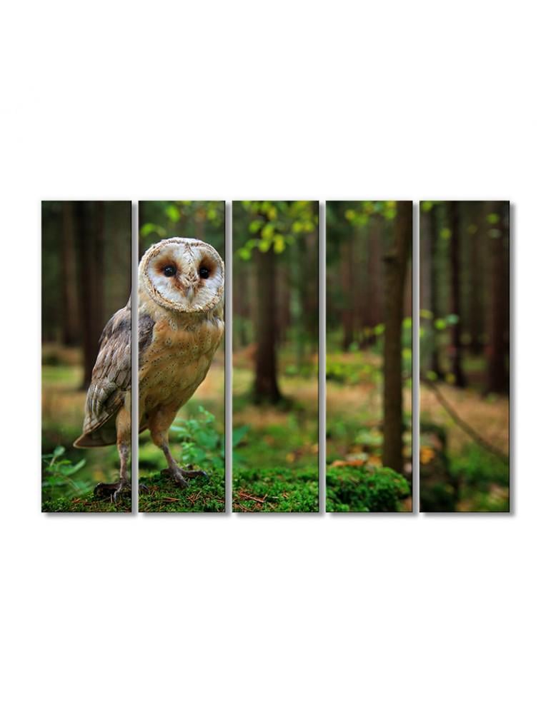Картина модульная Сипуха 5 модулей 80x120 см