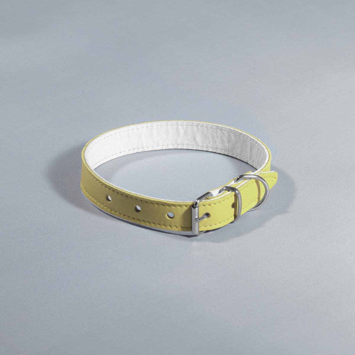 Нашийник для собак шкіряний подвійний Барви 20 мм х 33-41 см Жовтий (2296447515) - фото 1