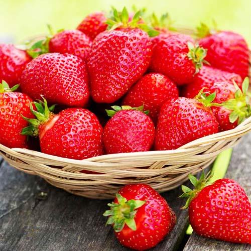 Микс Саженцев Клубники (21762)