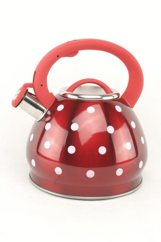 Чайник 1390-WK з нержавіючої сталі 3 л (AM0003486)