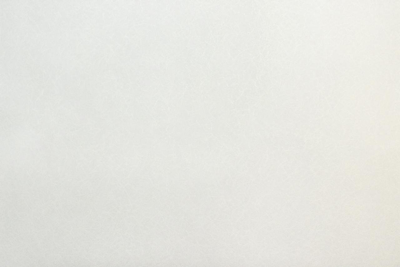 Шпалери універсальні LS 25x1,06 м Білий (ПРО 3) - фото 2 Шпалери універсальні LS 25x1,06 м Білий (ПРО 3) - фото 2