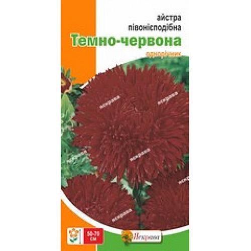 Семена Астра пионовидная Florium Темно-красная (17726) - фото 2 Семена Астра пионовидная Florium Темно-красная (17726) - фото 2